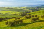 Graziosi rilievi Toscani